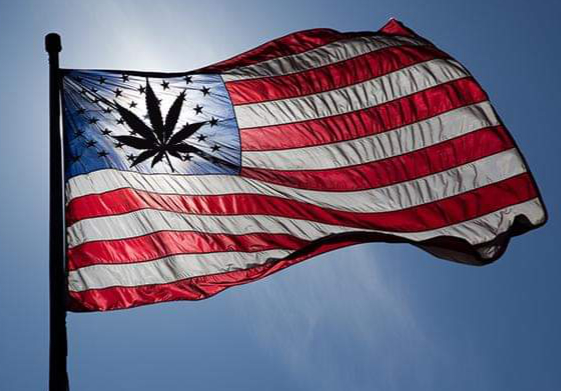 vibe-by-california-cannabis-dispensary-legalize-marijuana-legalize-cannabis-cannabis-dispensary-near-me