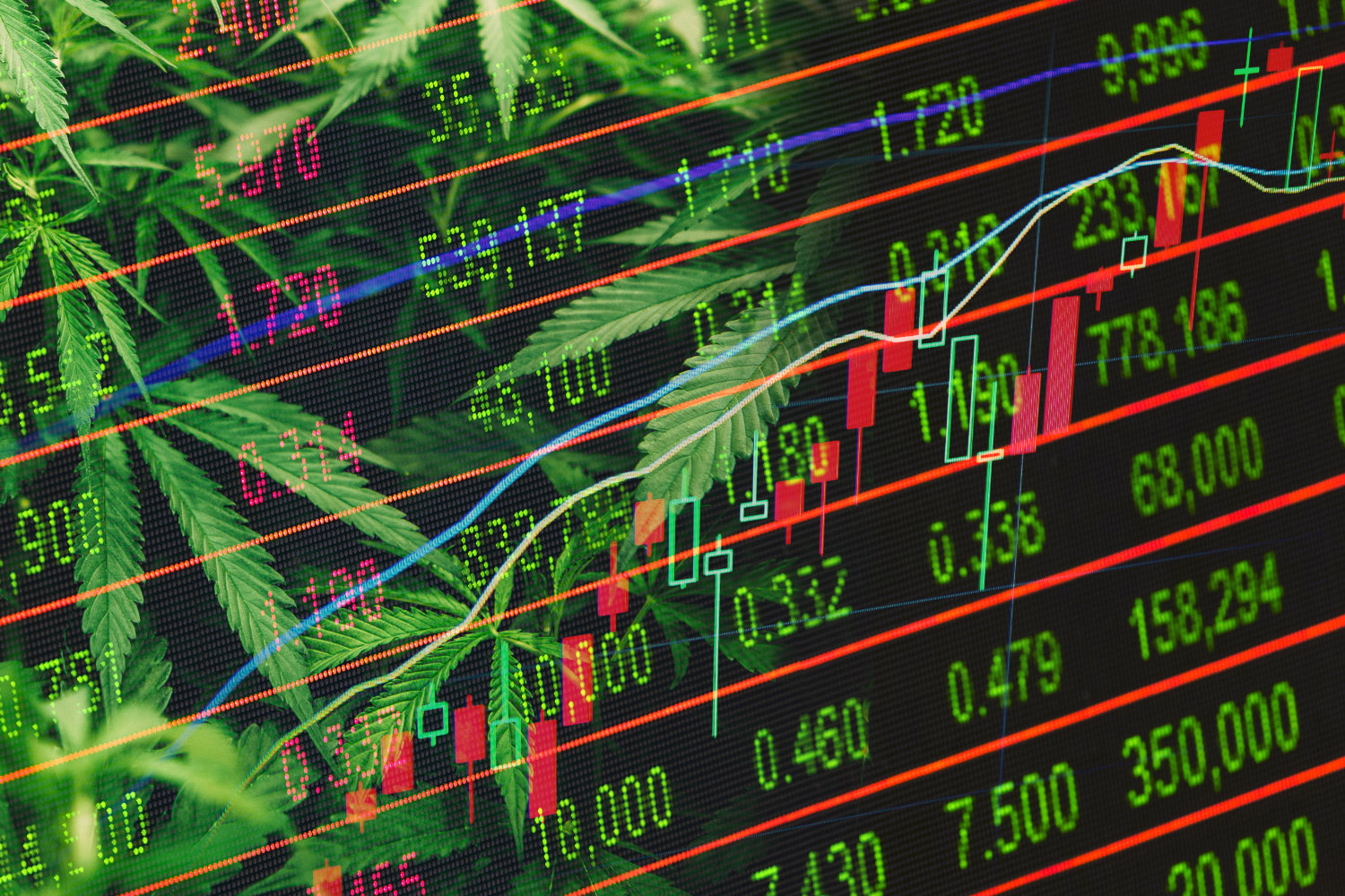 4 Things to Consider When Investing in Cannabis Stocks