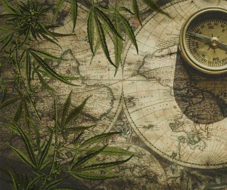The Origins of 420: Exploring Cannabis History and Its Impact on Today’s Culture