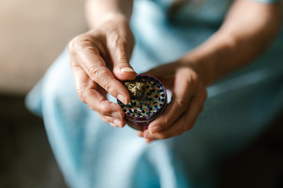 california cannabis events must attend festivals and gatherings for the cannabis community photo