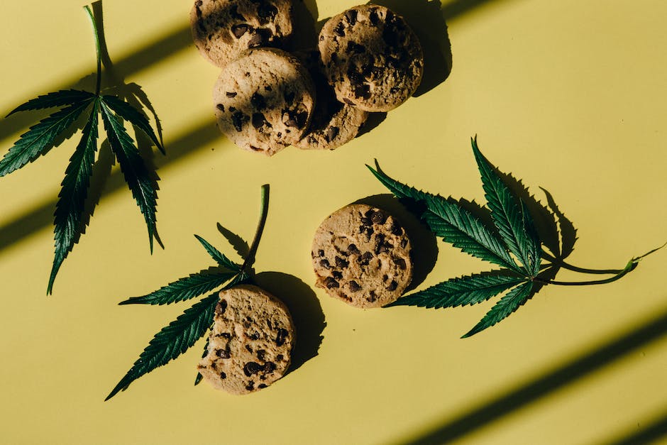 Cannabis and Community: How California's Marijuana Industry Supports Local Charities