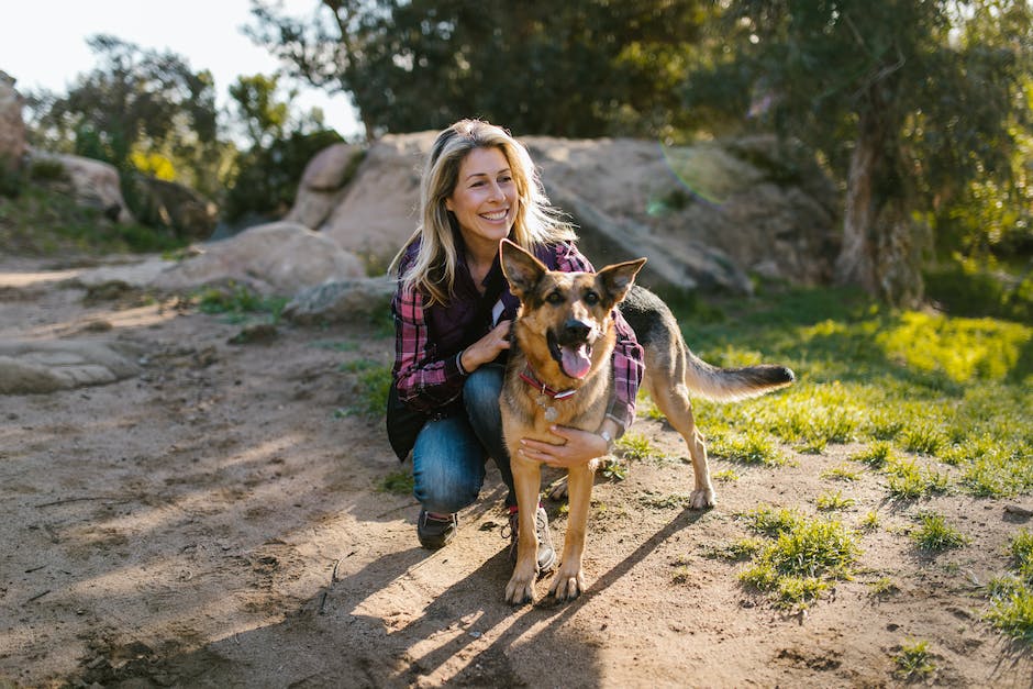 cannabis for pets exploring californias growing market for cbd pet products photo 3