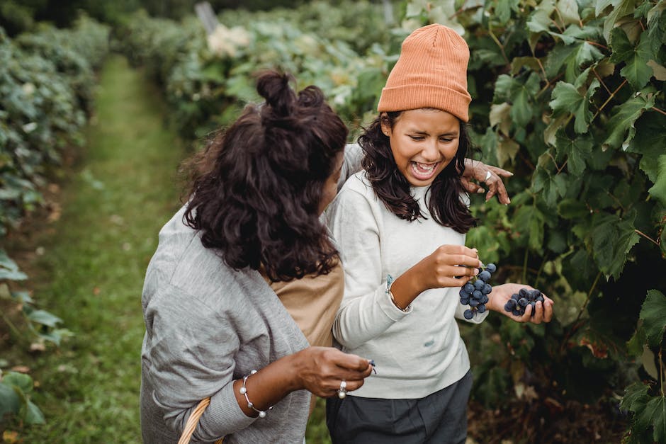 From Farm To Table: A Guide To California’s Cannabis Dining Experiences And Farm Tours