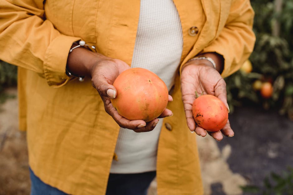 From Farm to Table: A Guide to California's Cannabis Dining Experiences and Farm Tours