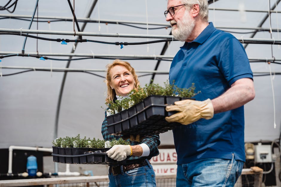 growing green an insiders look at californias sustainable cannabis cultivation practices photo 2