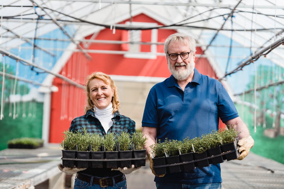 growing green an insiders look at californias sustainable cannabis cultivation practices photo 5