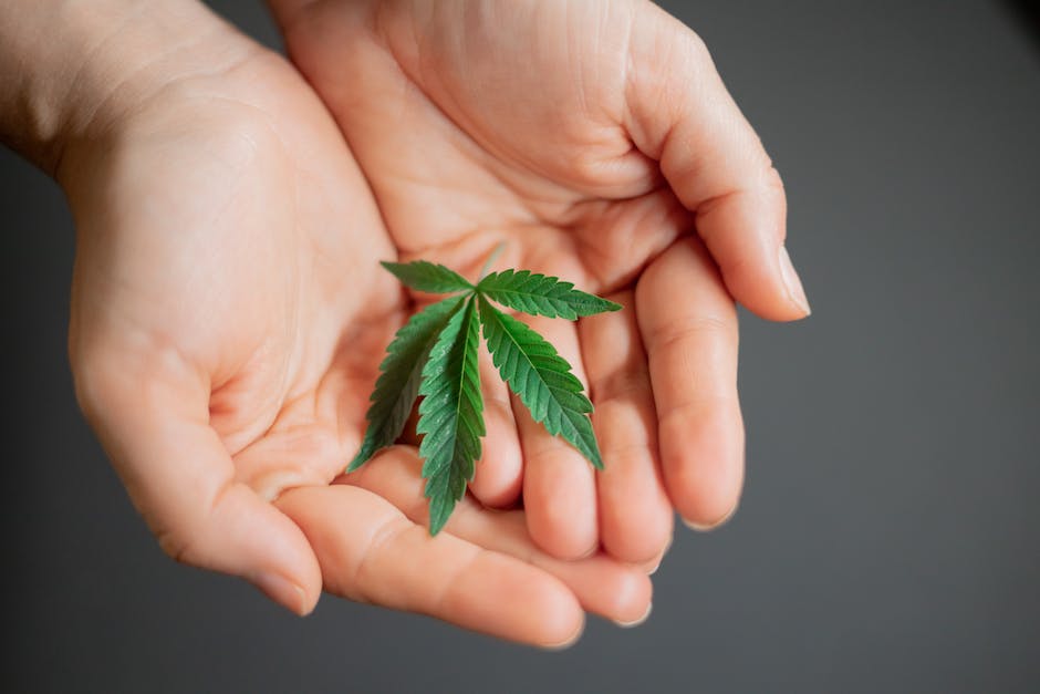 indica gummies benefits why theyre popular among californias recreational cannabis consumers photo
