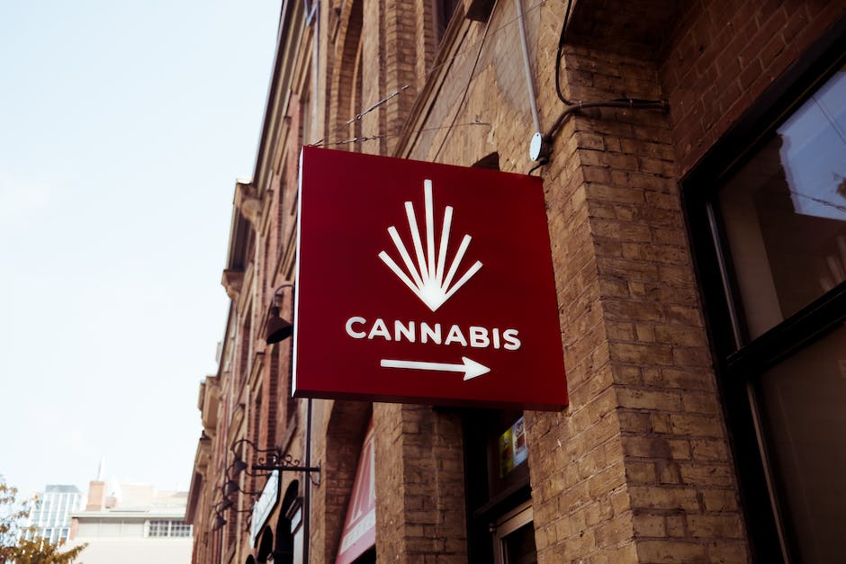 indica vs sativa which type of cannabis is best for your needs photo 2