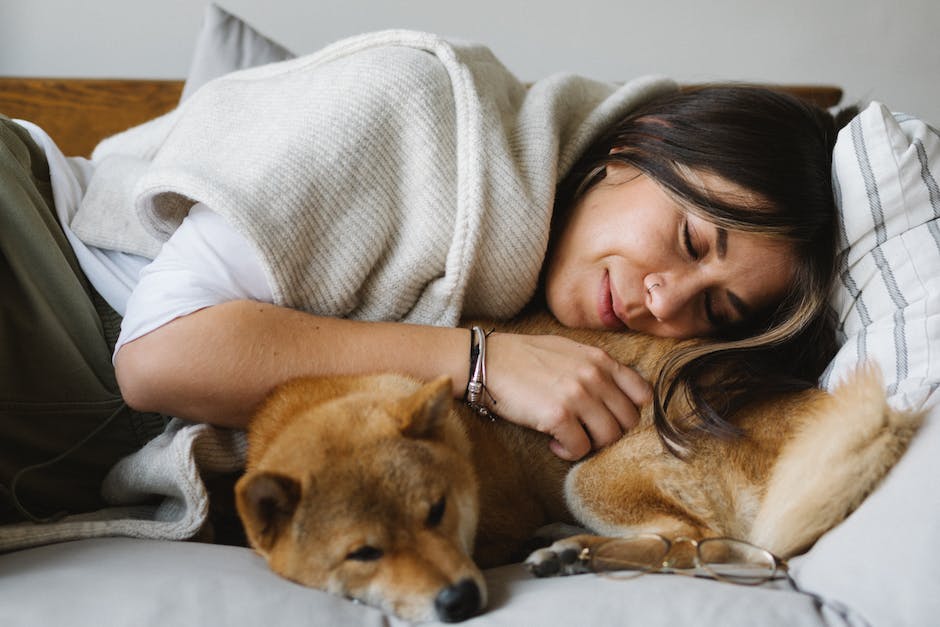 is cbd oil safe for your dog a comprehensive guide for pet owners photo 1