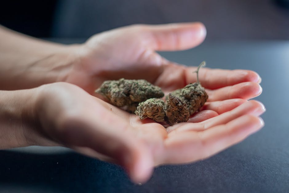 palm springs elite cannabis strains top 5 options for the recreational market photo 2
