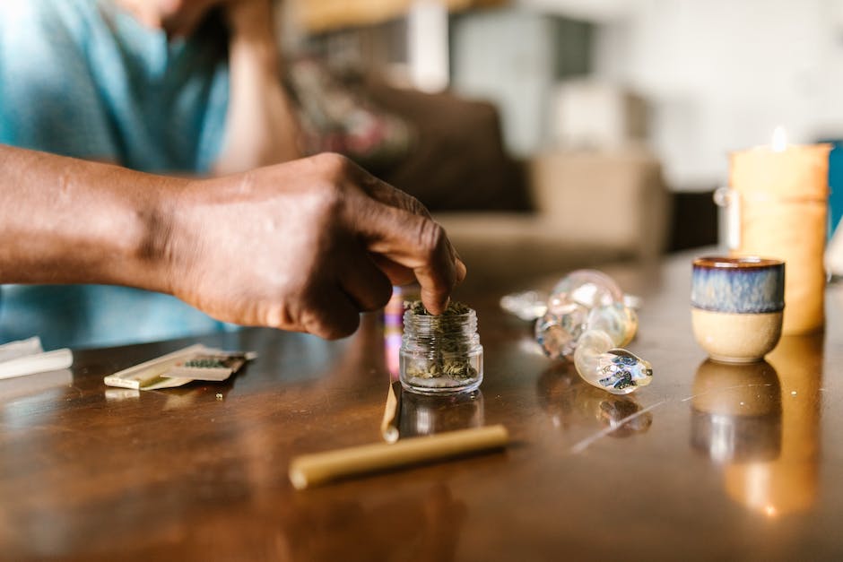 portlands cannabis festivals unforgettable events for marijuana enthusiasts and newcomers alike photo 1