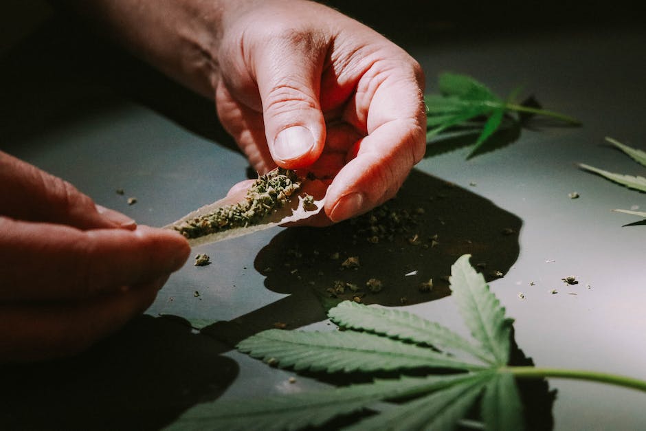 salinas infused pre rolls a guide to the areas most exciting cannabis options photo 5