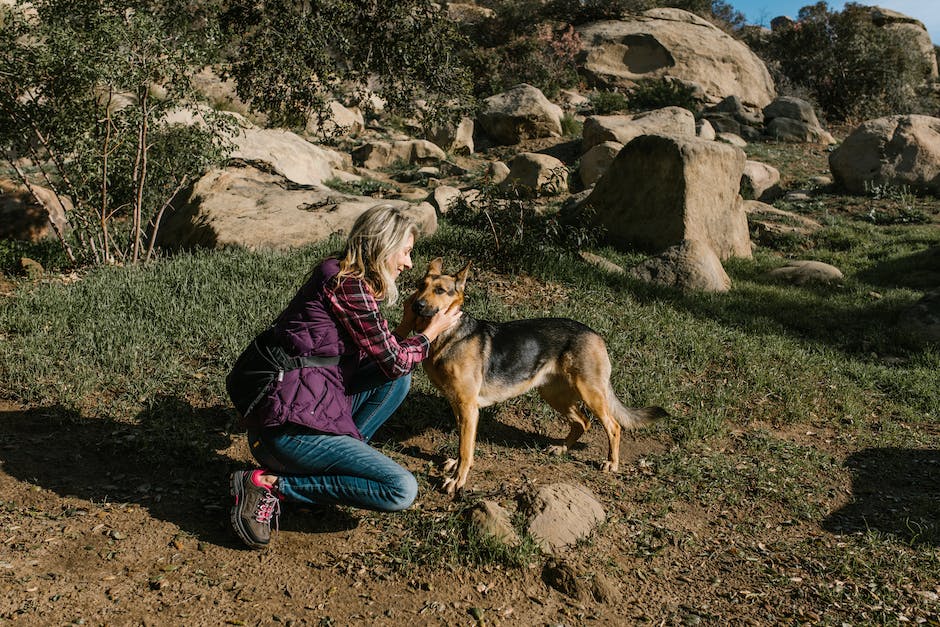 The Cannabis Lover’s Guide To Northern California