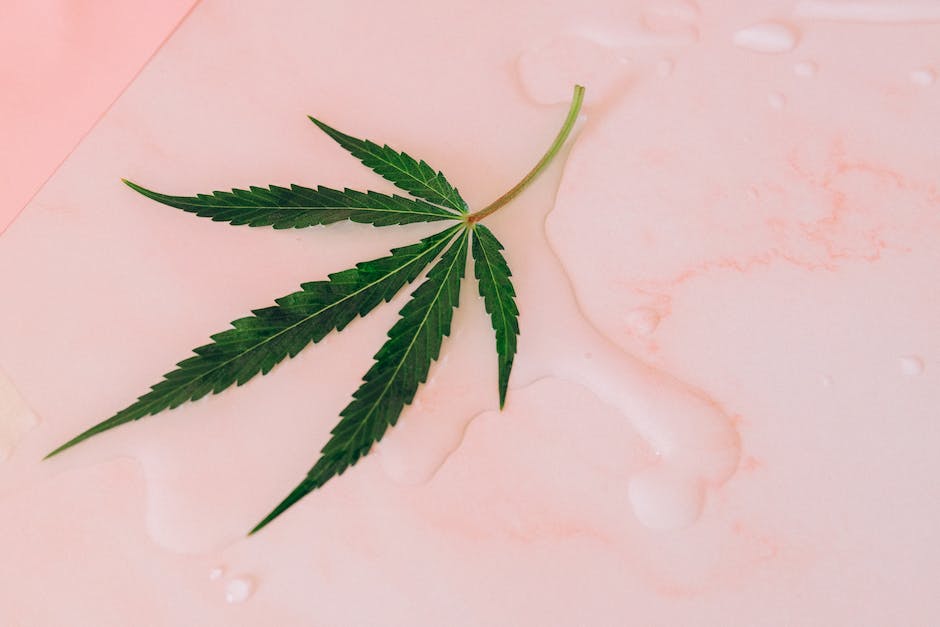 The High Life: A Glimpse into California's Luxurious Cannabis Retreats and Spas