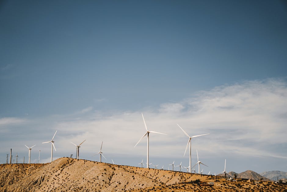 The Untapped Potential of Hemp: A Sustainable Resource for a Greener Tomorrow