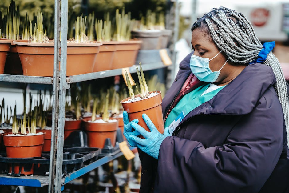 From Medical to Recreational: The Evolution of Cannabis Retail in California