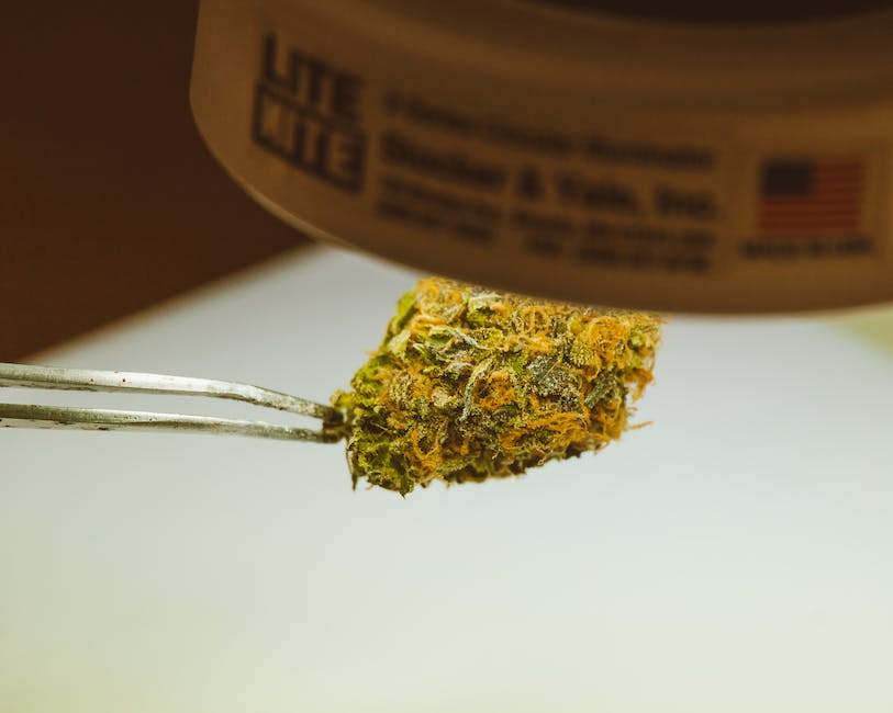 Redding California has California's best weed and cannabis