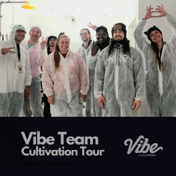 Navigating the Cannabis Landscape: Celebrating Unity and Growth at Vibe by California
