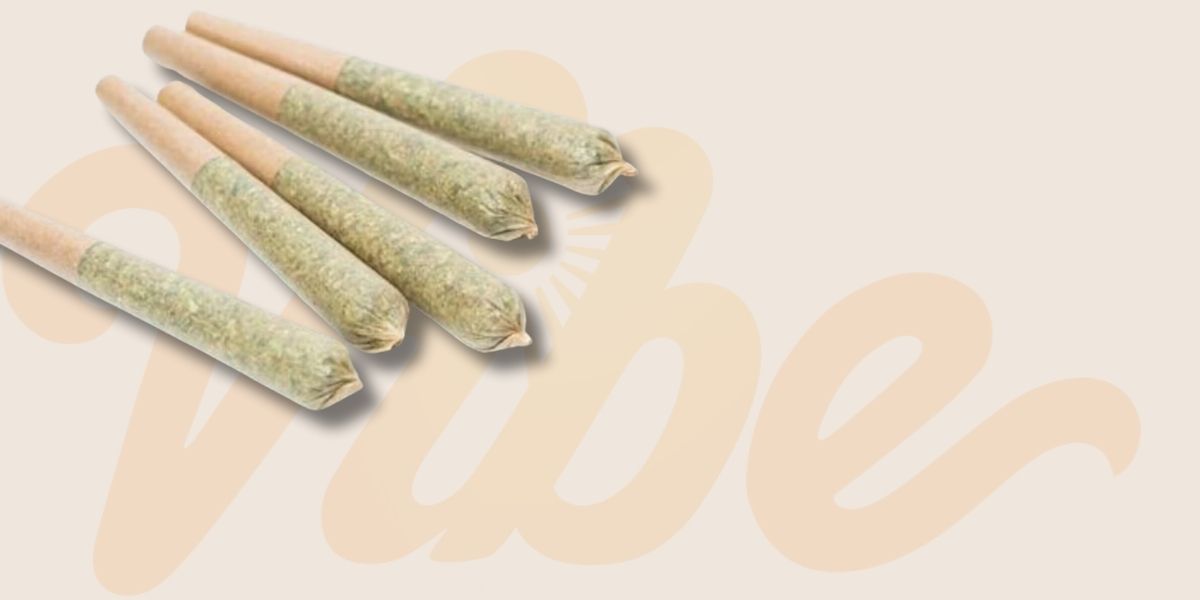 Embracing The Pre-Roll Revolution: The Future of Cannabis Consumption with Vibe