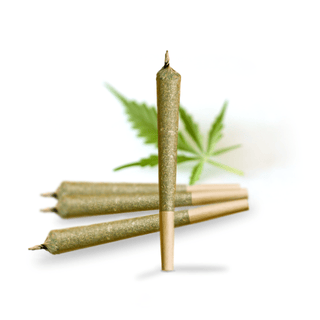 Pre Rolls