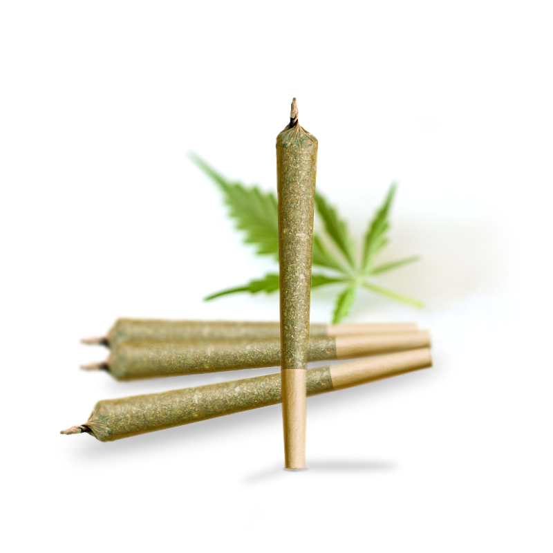 Pre Rolls
