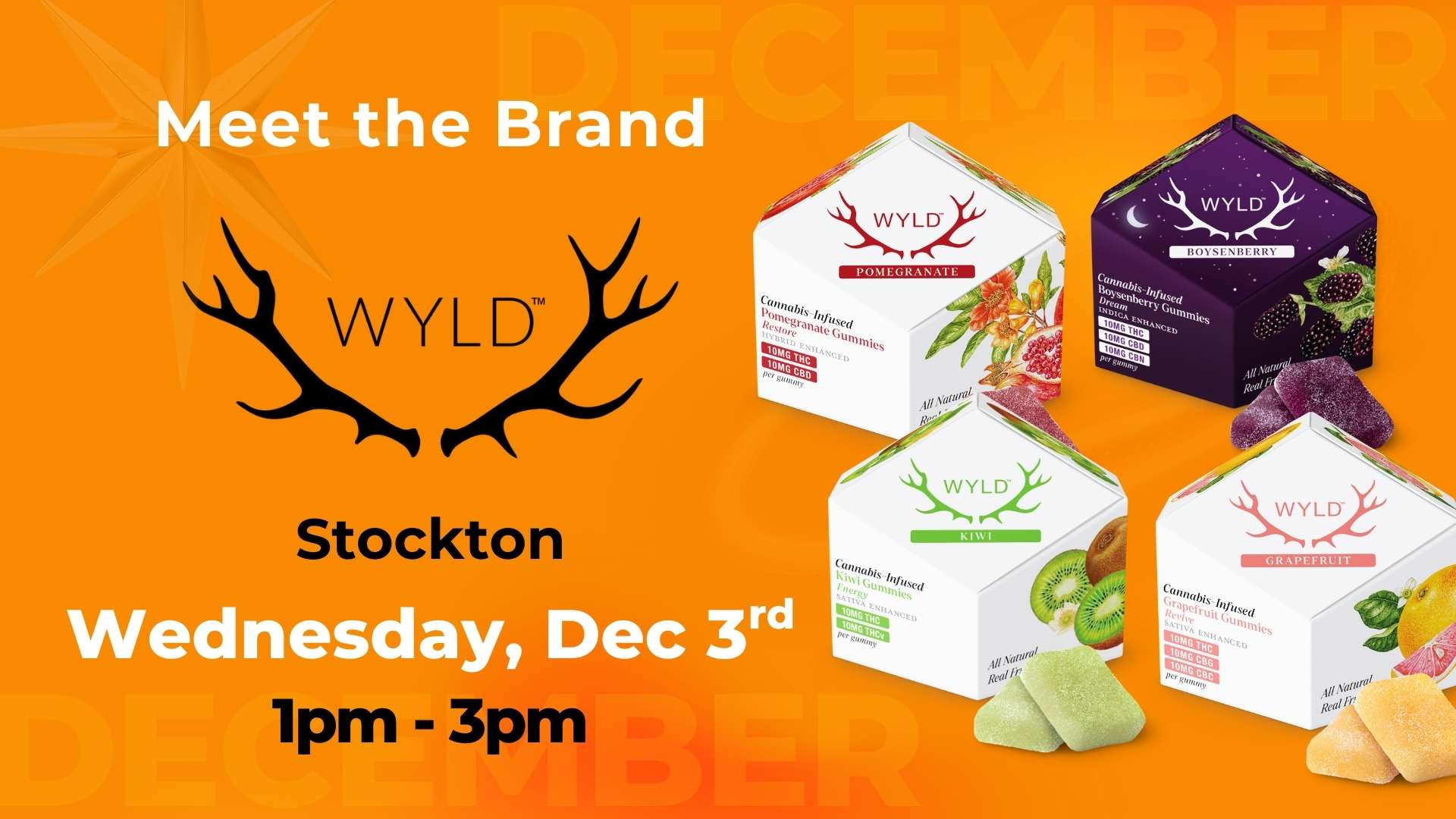Meet the Brand Vibe Stockton 12.3