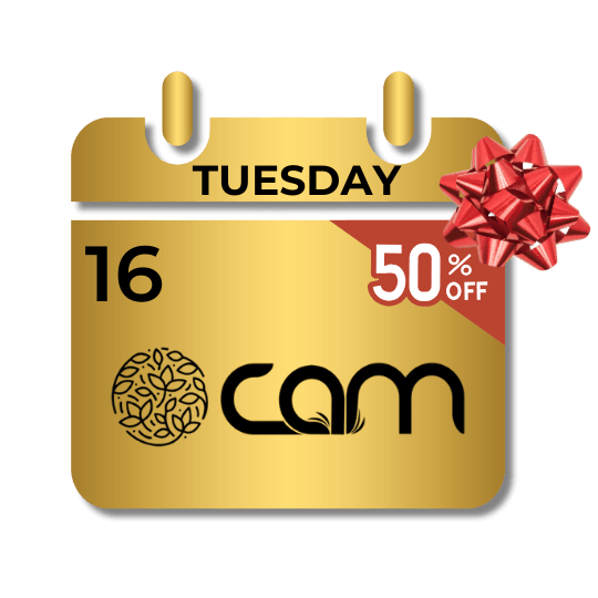12 Days of Deals at Vibe CAM 12.16