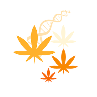 Clones